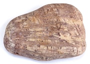 LaL 47